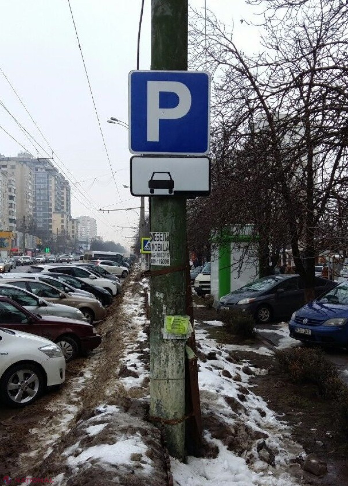 FOTO // Bulevardul Moscova a fost împânzit cu INDICATOARE rutiere noi. Nu veți mai avea voie să PARCAȚI cum obișnuiați