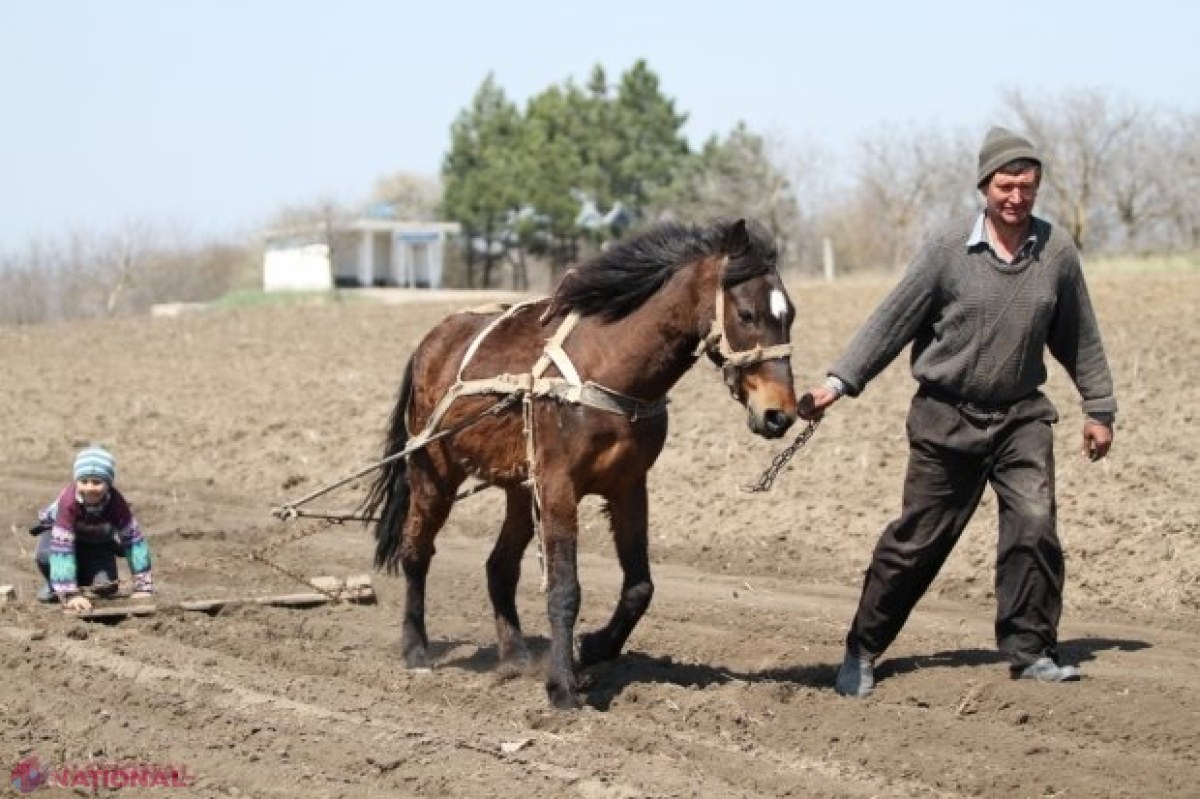 IMPORTANT pentru întreprinderile mici și gospodăriile individuale din R. Moldova: Băncile vor acorda mai multe credite în monedă NAȚIONALĂ