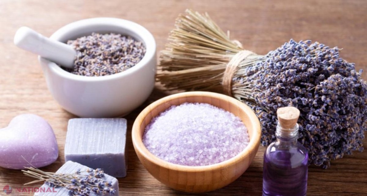 Lavanda – 20 de utilizări și curiozități uimitoare ale acestei plante miraculoase 
