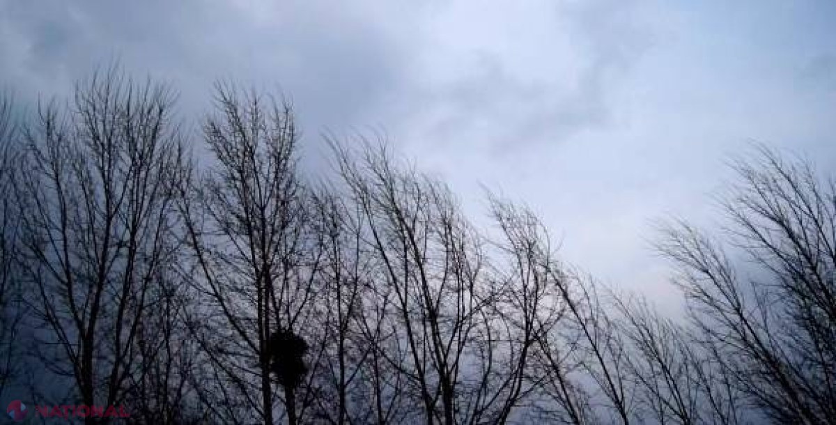 AVERTIZARE meteorologică! Vânt puternic în R. Moldova