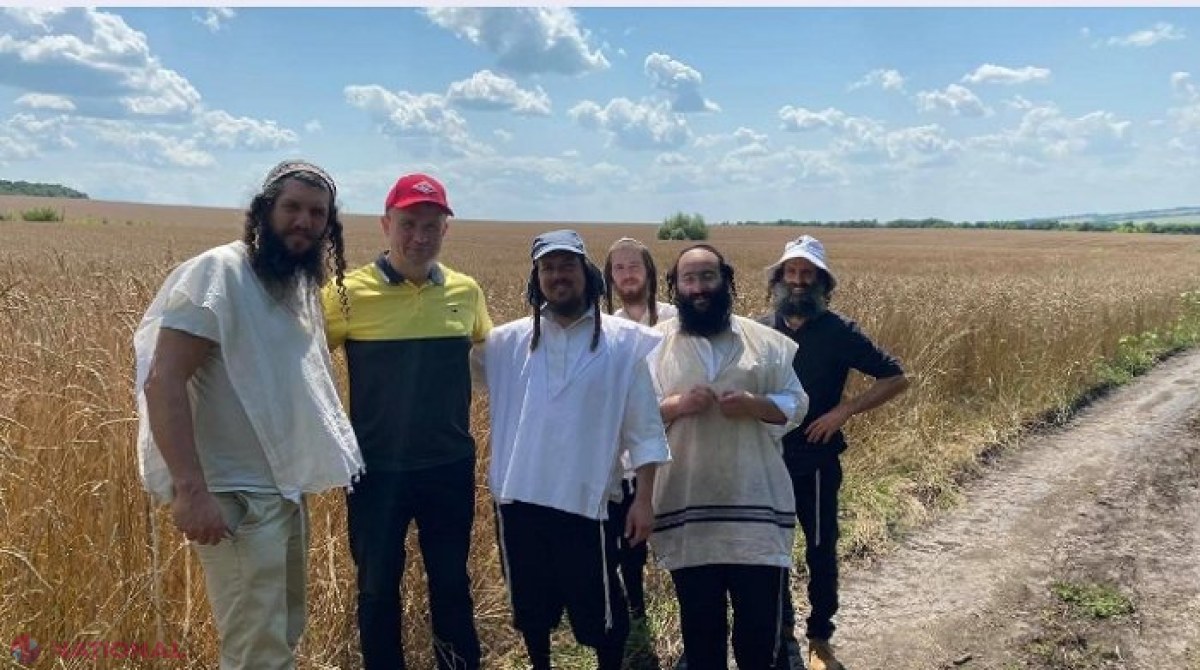 PREMIERĂ //  Semințe decojite de SPELTĂ, exportate în Israel de către fermieri din R. Moldova: Sunt destinate bucătăriei kosher