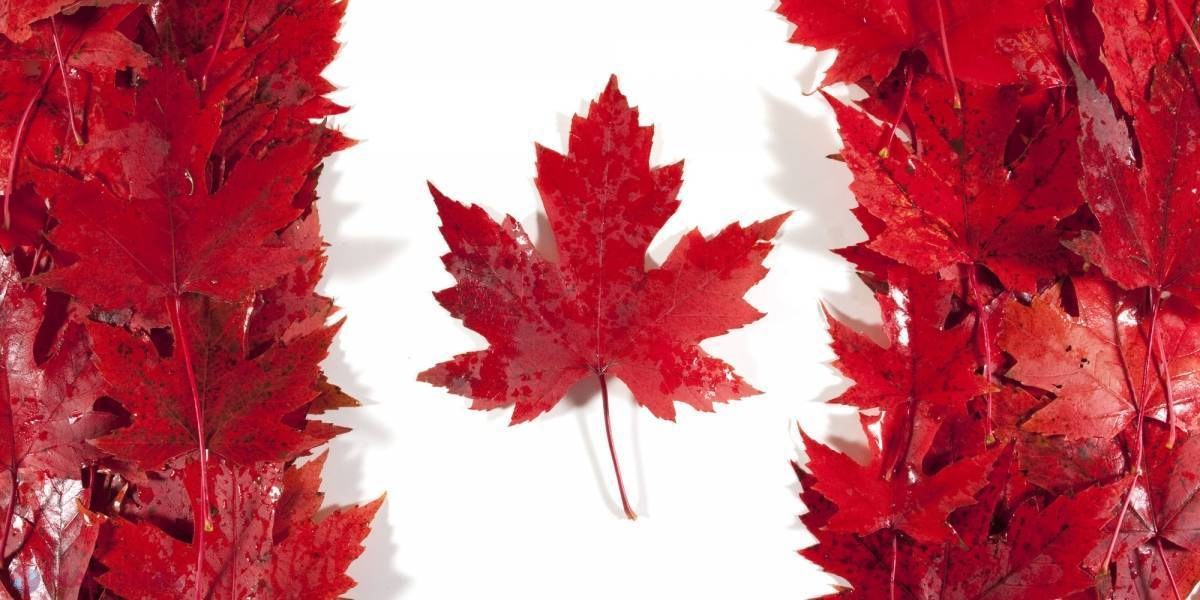 Ce OPORTUNITĂȚI au moldovenii care vor să emigreze în Canada. Trebuie să vă grăbiți!