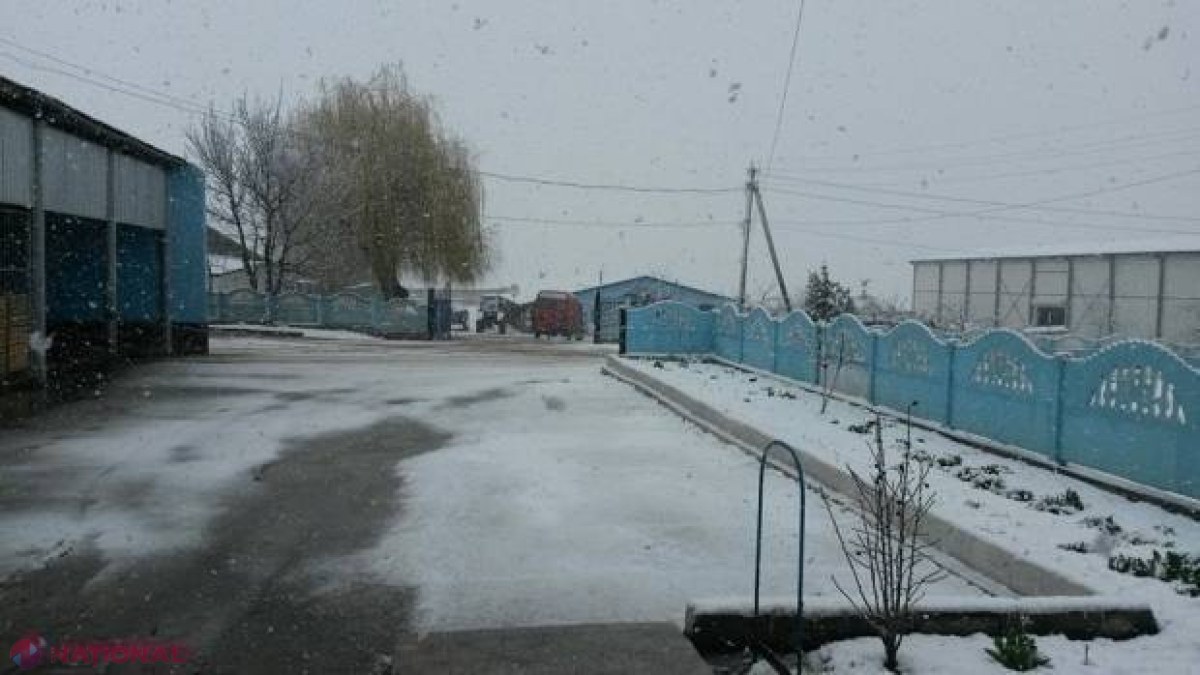 METEO // NINSORI pe tot parcursul săptămânii la Nord. În ce zile va ninge în centrul și sudul R. Moldova