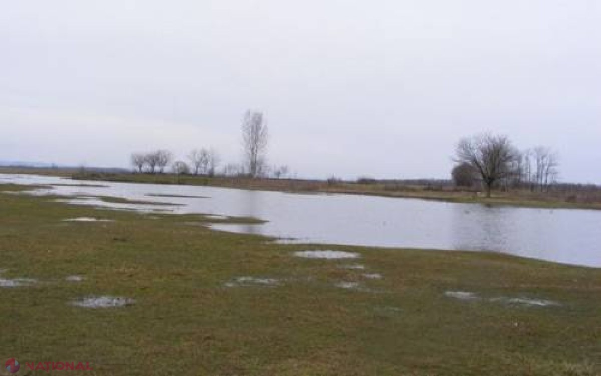  Două milioane de lei pentru evacuarea apei de pe unele terenuri inundate