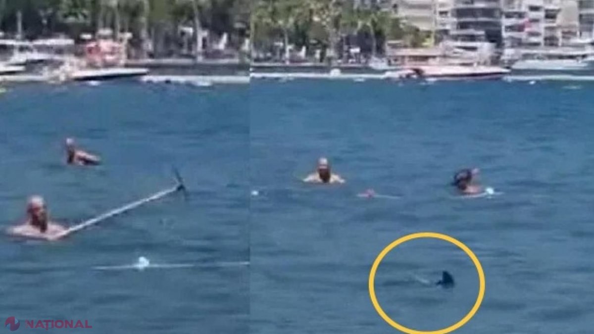 VIDEO // Răsturnare de situație în cazul RECHINULUI alungat cu mopul, în stațiunea Marmaris din Turcia. Autoritățile au precizat ce s-a întâmplat, de fapt, în apă