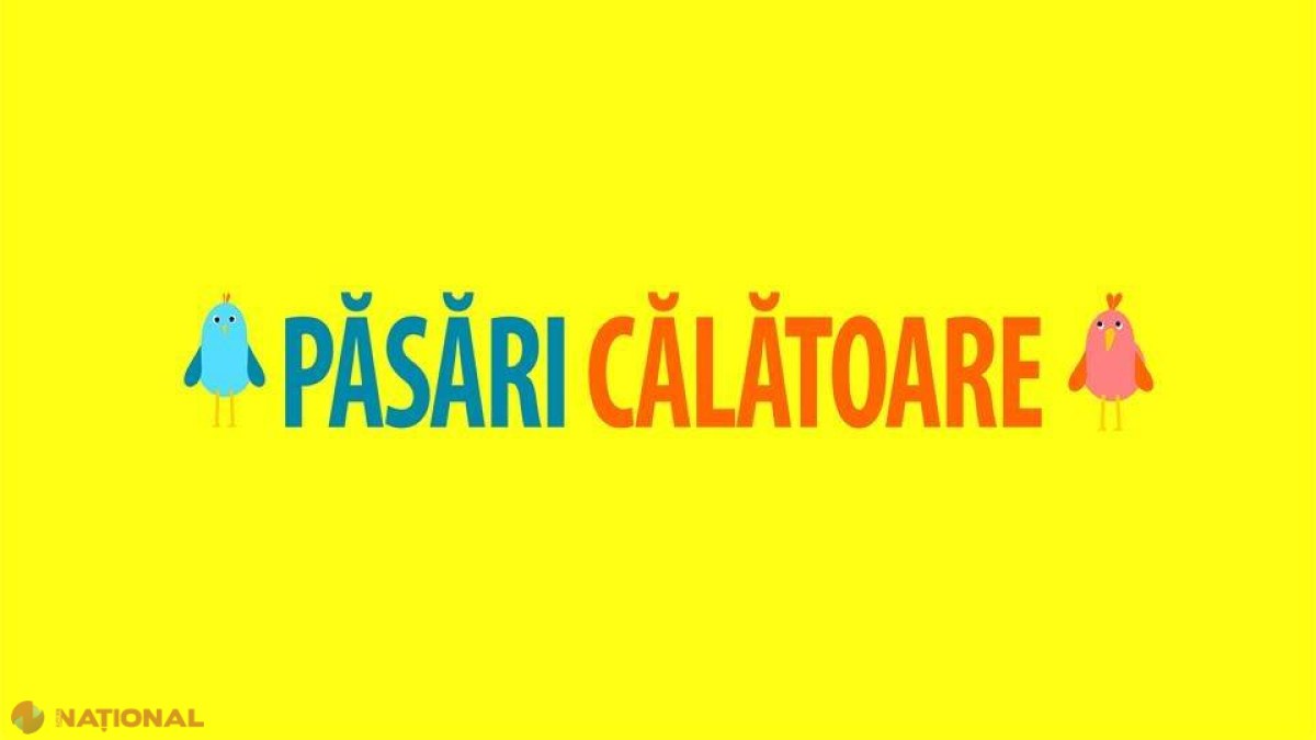 Patru moldovence aflate în străinătate vor lansa un VIDEO BLOG. Printre ele este și Nata Albot 