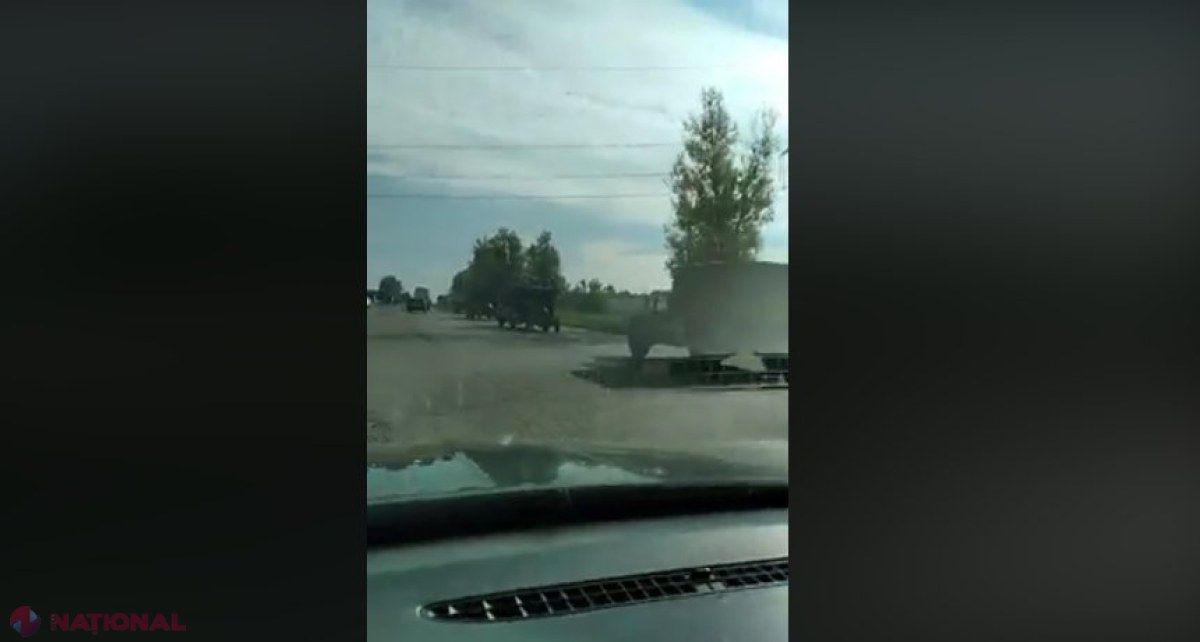 VIDEO // Șoferii au surprins astăzi mai multe unități de tehnică MILITARĂ pe un drum național. Anunțul făcut de Ministerul Apărării