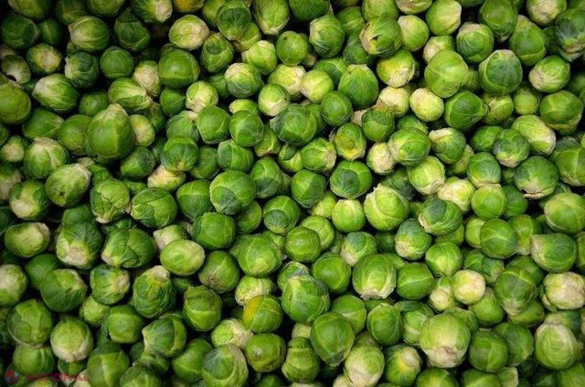 BENEFICII uimitoare // De ce ar trebui să mănânci mai des varză de Bruxelles