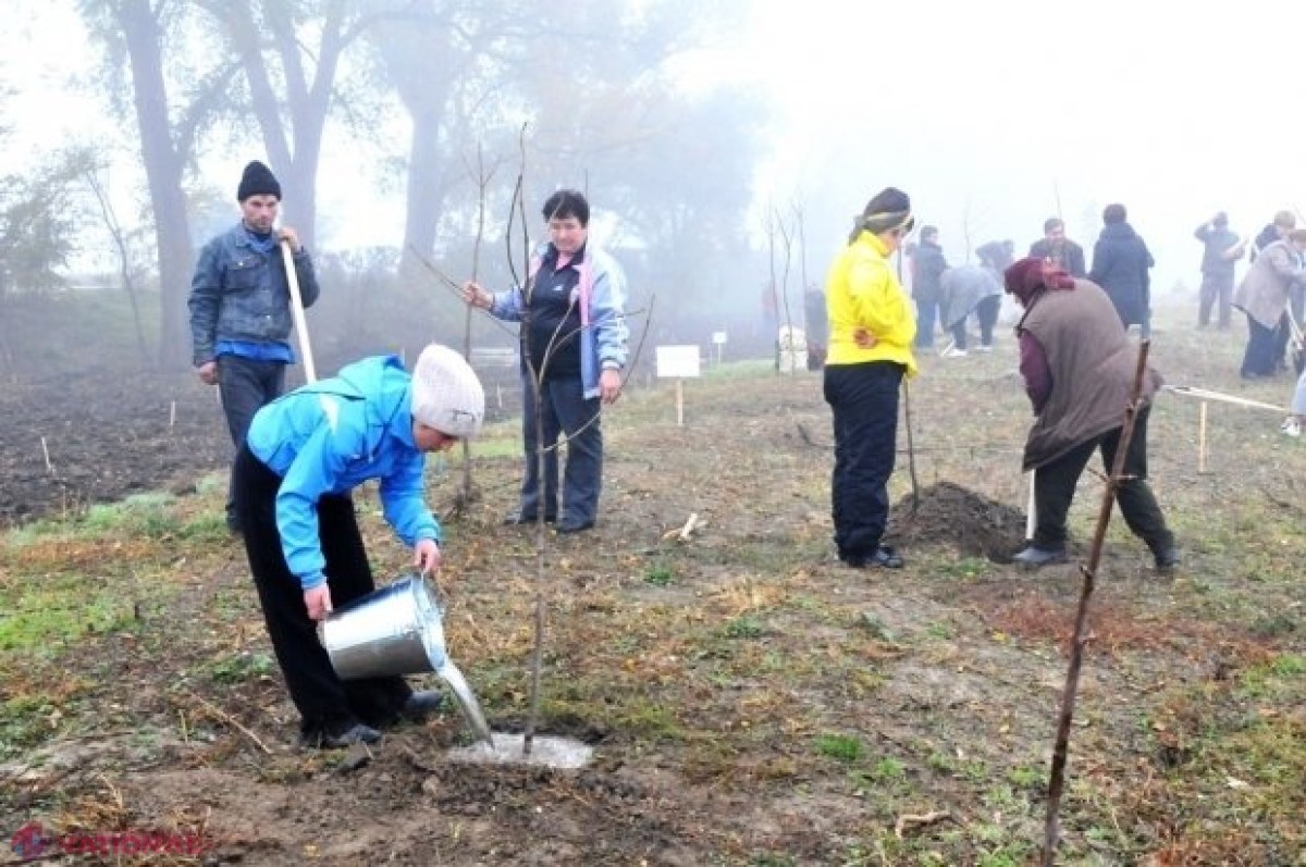 Primăria Chișinău nu răspunde apelului MADRM și AMÂNĂ ziua de înverzire a plaiului 