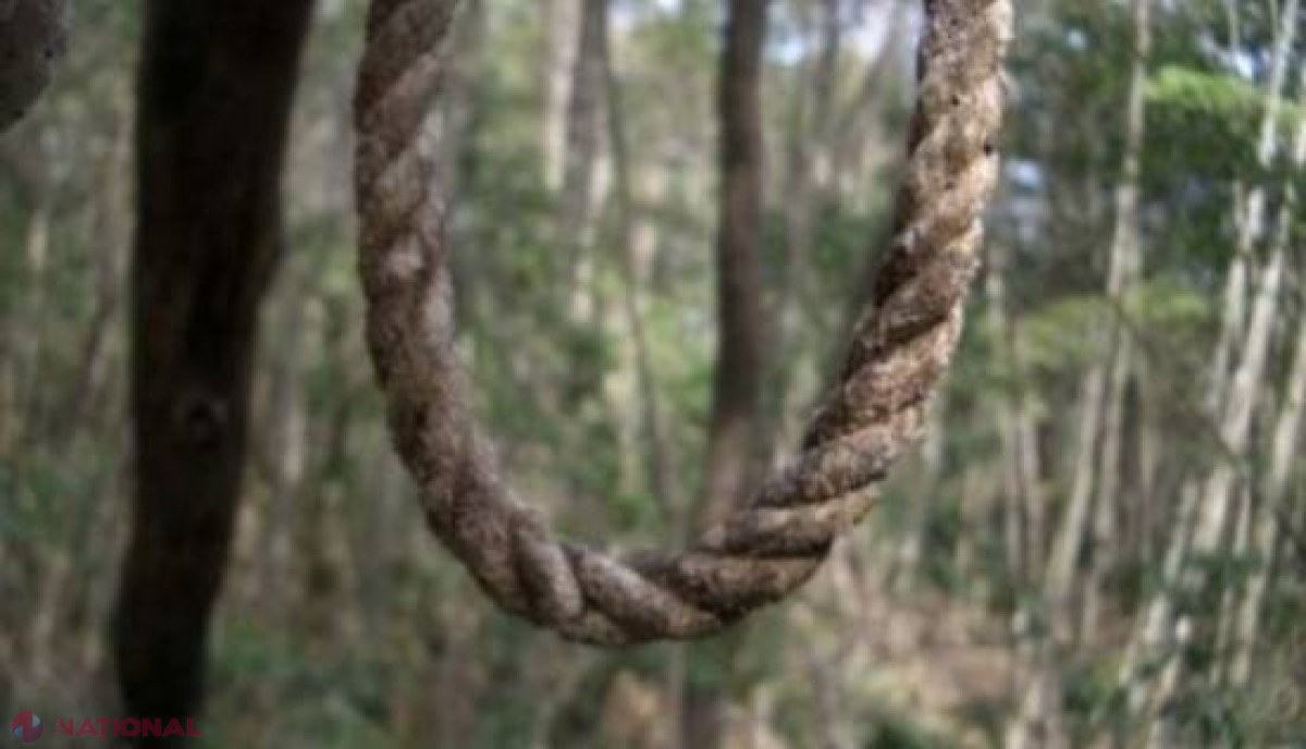 TRAGEDIE // Studentul DISPĂRUT în urmă cu câteva zile a fost găsit spânzurat într-o pădure din Braşov 