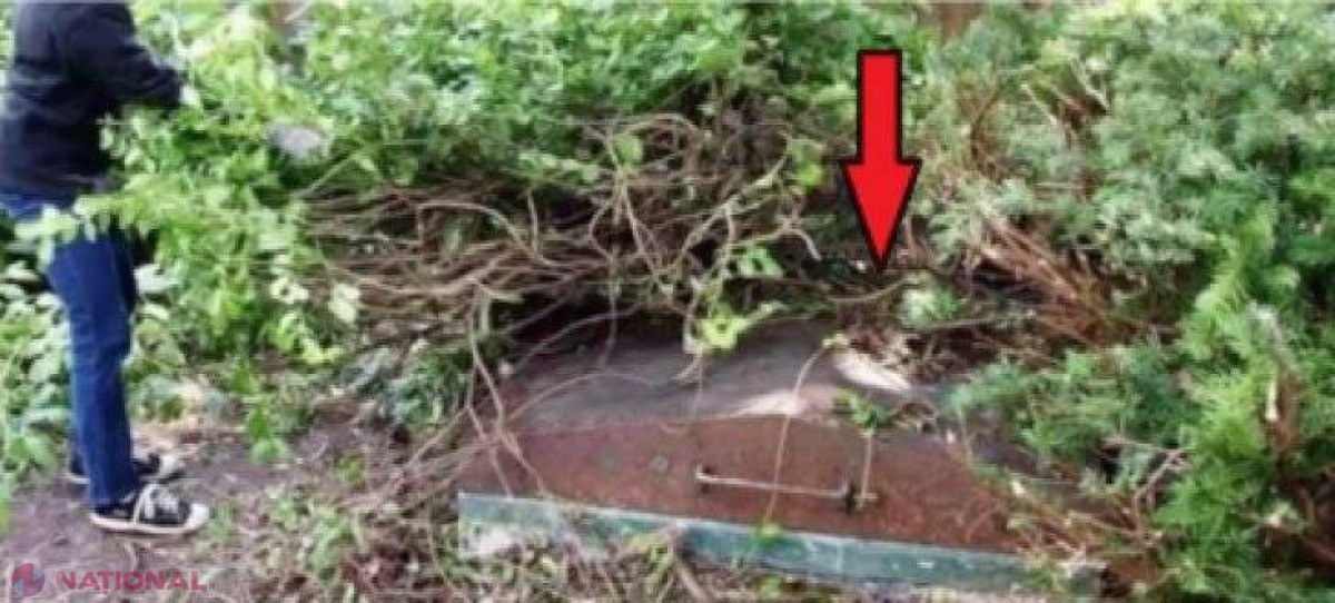 Au DESCOPERIT o uşă de metal în grădină. Şi-au făcut curaj şi au deschis-o! Ce secret ascundea 