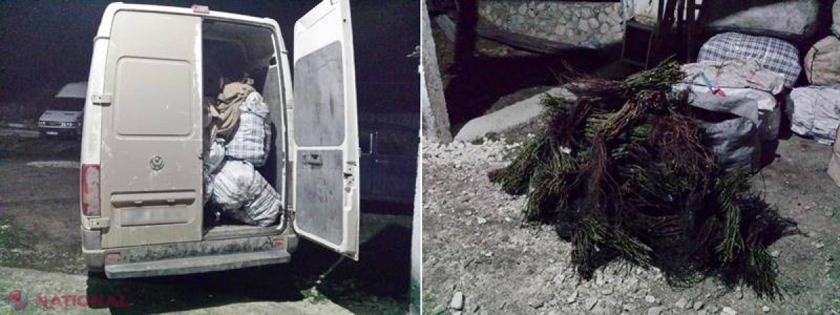 Contrabandă  „ghimpoasă” la frontiera moldo-ucraineană 