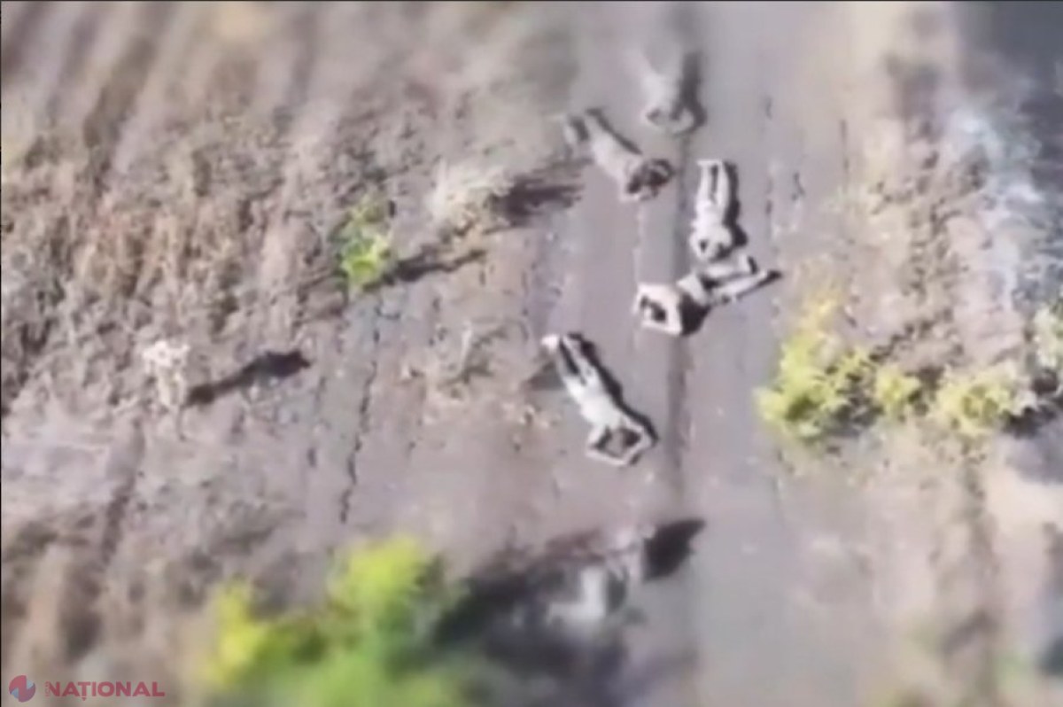VIDEO // Rușii se ucid între ei pe frontul din Ucraina. Noi imagini șocante cu soldați ruși uciși de camarazii lor cu o dronă. Motivul pentru care au fost executați 