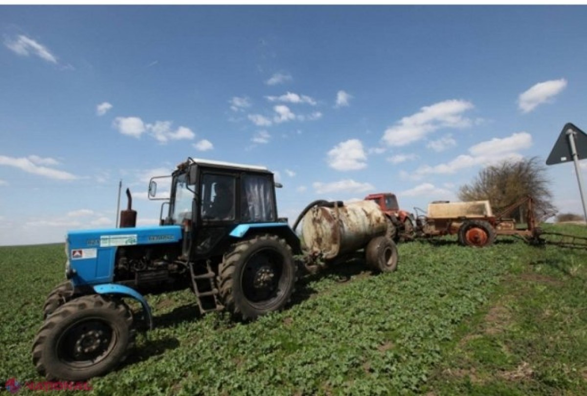 DOC // UTIL pentru agricultori: Savanții prezintă RECOMANDĂRI actualizate de luptă cu cele peste 270 de boli și dăunători care atacă culturile de câmp din R. Moldova