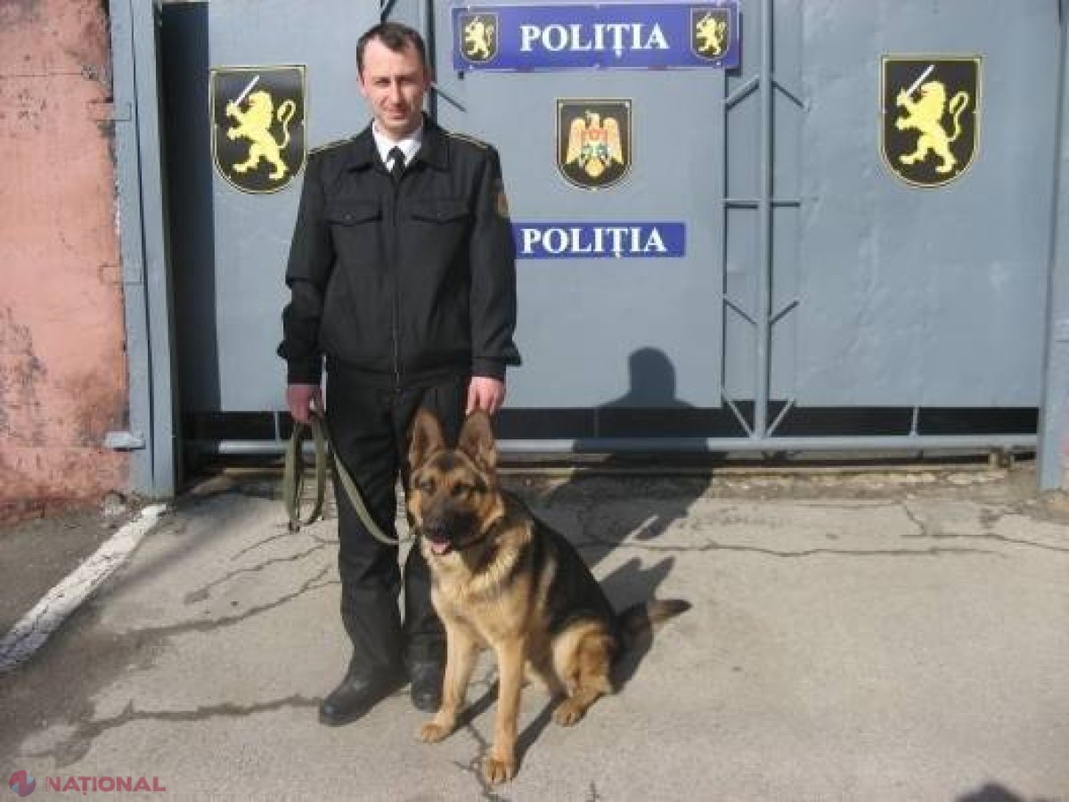 Djec, EROUL poliţiştilor, a „comis-o” din nou. Pe cine a PRINS de această dată