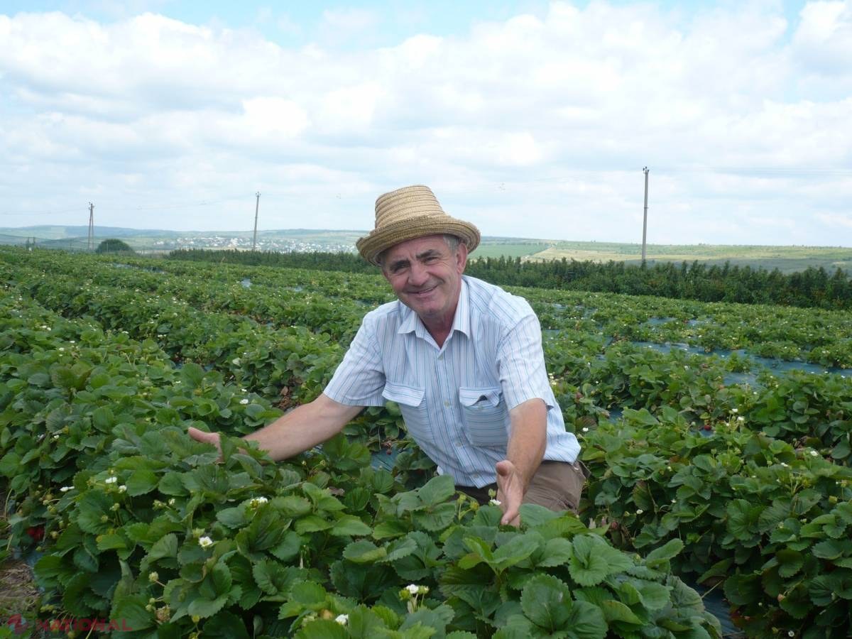 Secretele celor mai frumoși dovleci de la Lozova