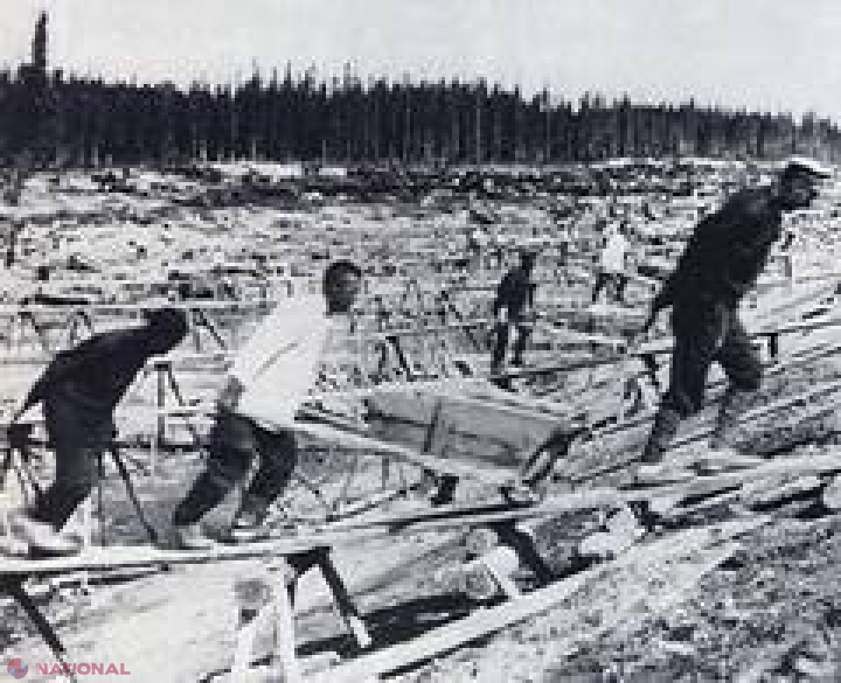 Ați merge în tabără în GULAG-ul din Siberia? 