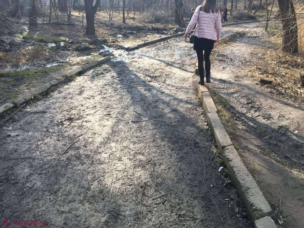 Silvia Radu e NEMULȚUMITĂ de activitatea pretorilor: „Ieșiți din birouri”. Primărița este îndemnată să DESFIINȚEZE preturile – „instituții fără folos”