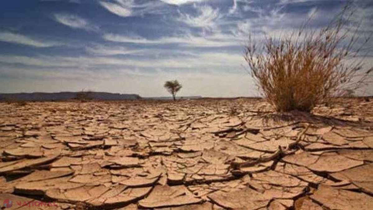 Nimic nu va mai fi ca acum. Până în 2040 în Europa va fi o CATASTROFĂ iminentă. Bucuraţi-vă de viaţă până mai puteți