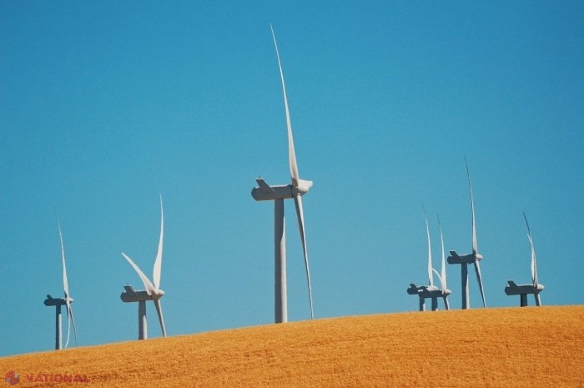 PREMIERĂ // Licitația privind construcția unor centrale electrice eoliene terestre și centrale fotovoltaice de capacitate mare în R. Moldova, lansată de Ministerul Energiei