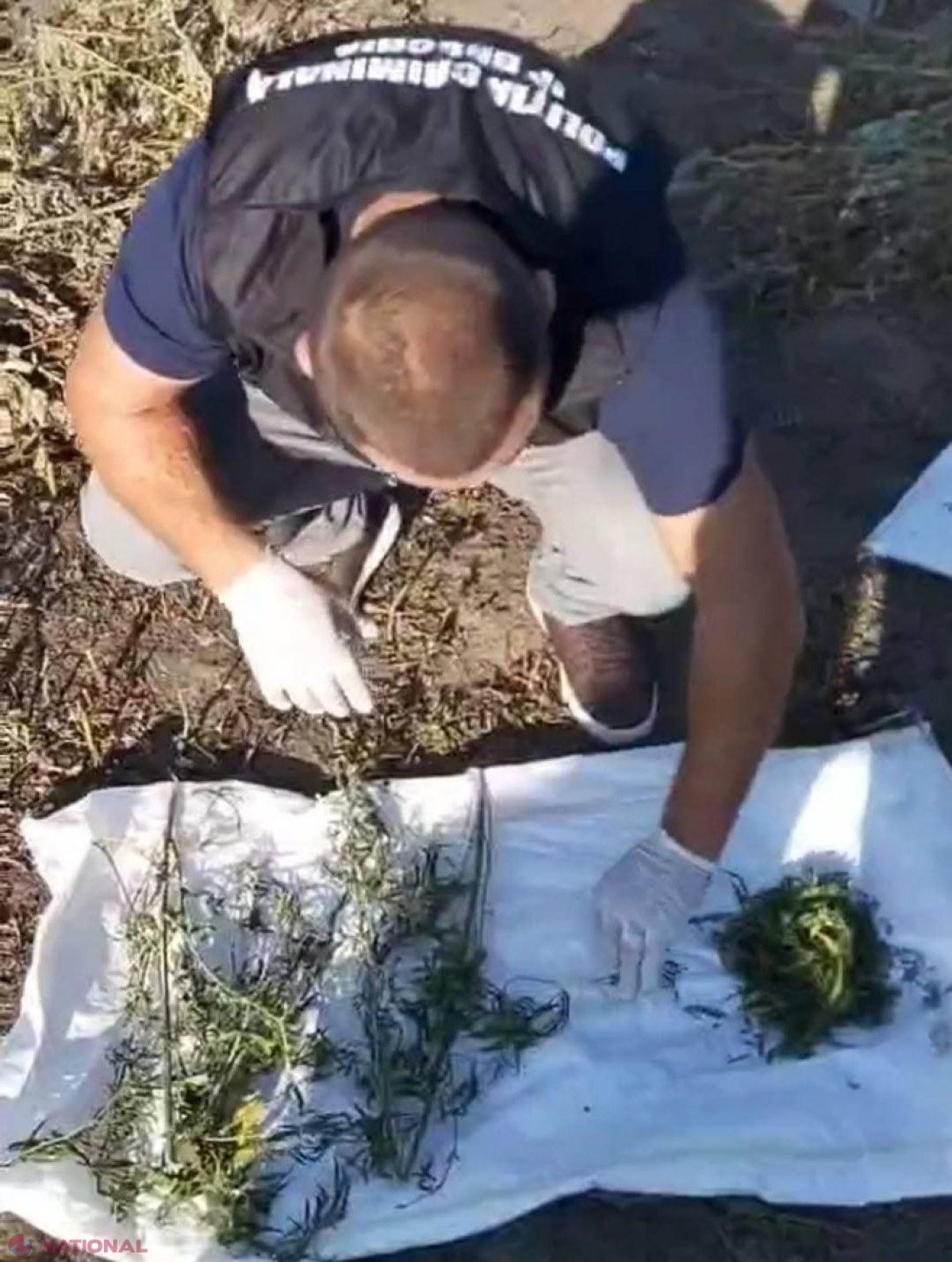 FOTO // Arme și droguri, depistate în gospodăriile a patru bărbați din nordul R. Moldova