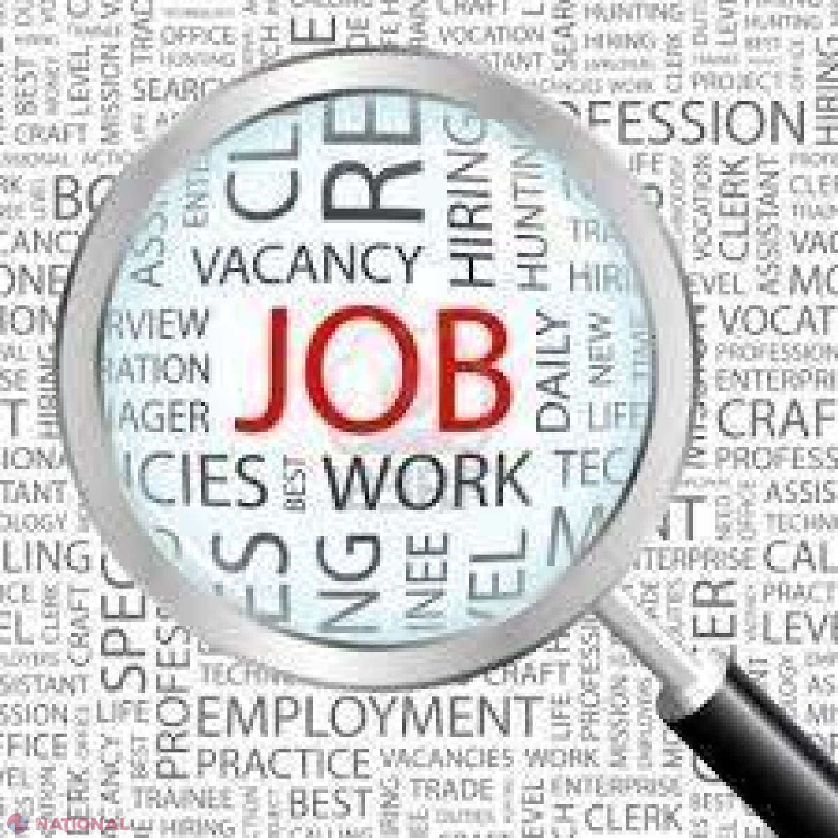 Lista celor 100 cele mai BINE plătite locuri de muncă vacante din R. Moldova: Cine oferă salarii de până la 50 de mii de lei pe lună