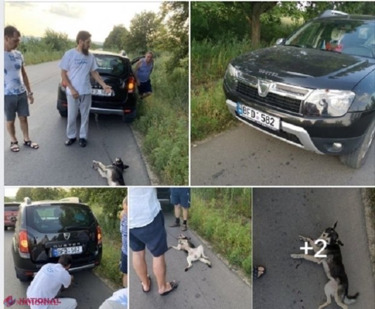 DOC // Preotul Văluță SCAPĂ de pedeapsă penală, pentru că a legat un câine în urma automobilului și l-a târât mai mulți kilometri