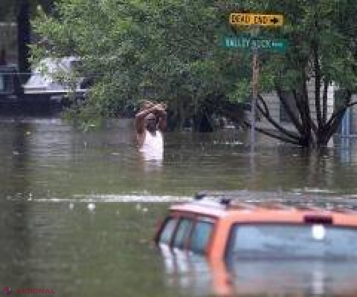 Uraganul Irma. Unde își adăpostesc vedetele mașinile de lux