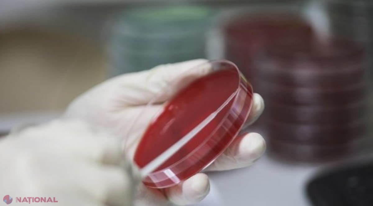 Încă cinci persone infectate cu coronavirus în România: Bilanțul ajunge la 64. România închide mai multe puncte de frontieră, pe toate granițele