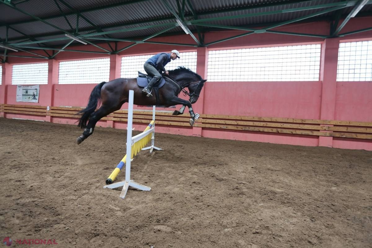 Oază de aristocrație: Hipismul poate fi sport, distracție, dar și remediu