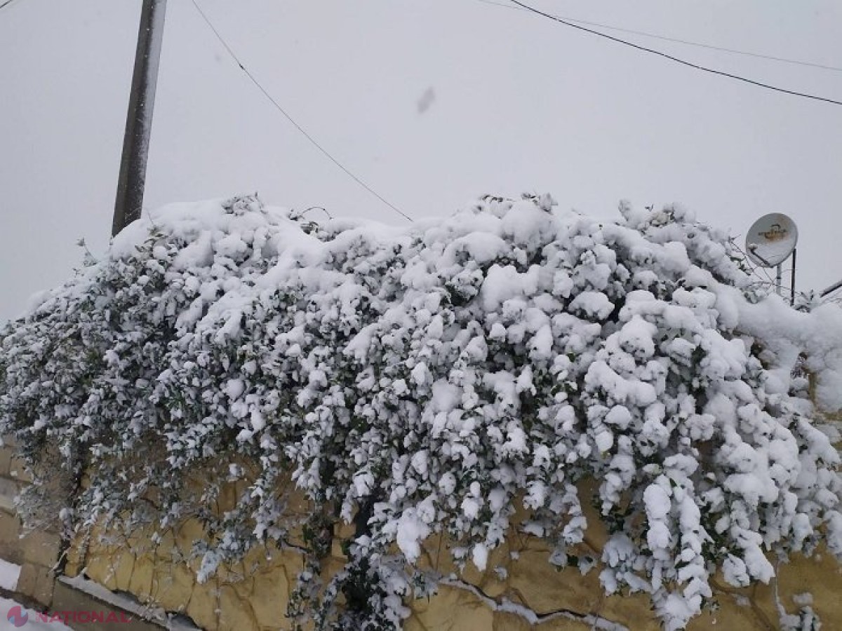 METEO // După ninsoarea abundentă vin ploile în R. Moldova: Ce temperaturi vom avea în zilele următoare