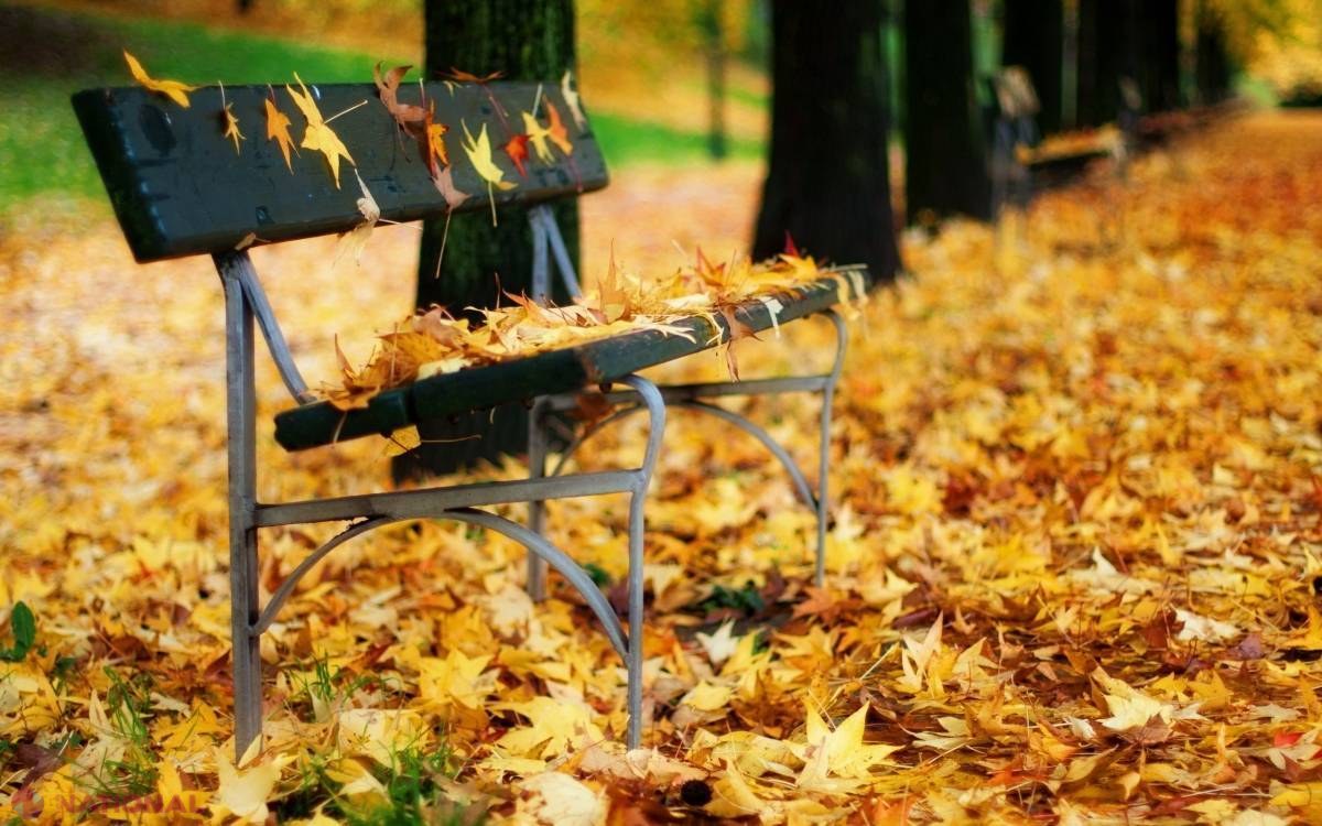 Weekendul aduce vreme frumoasă și caldă. Maximele vor ajunge la 20 de grade Celsius 