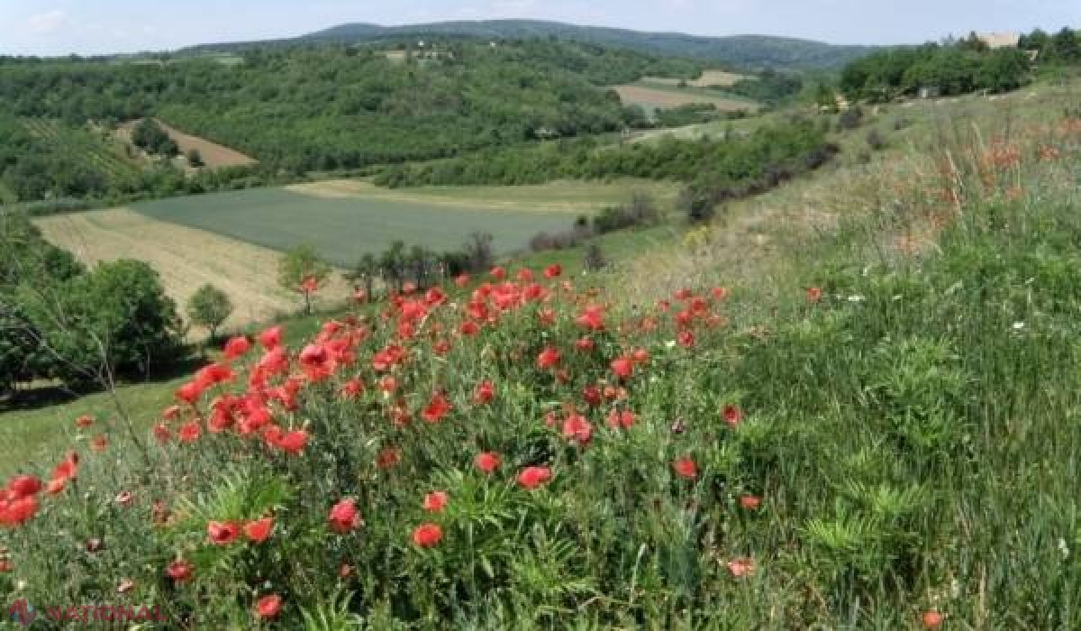  FOTO // O fereastră spre Serbia cea atemporală