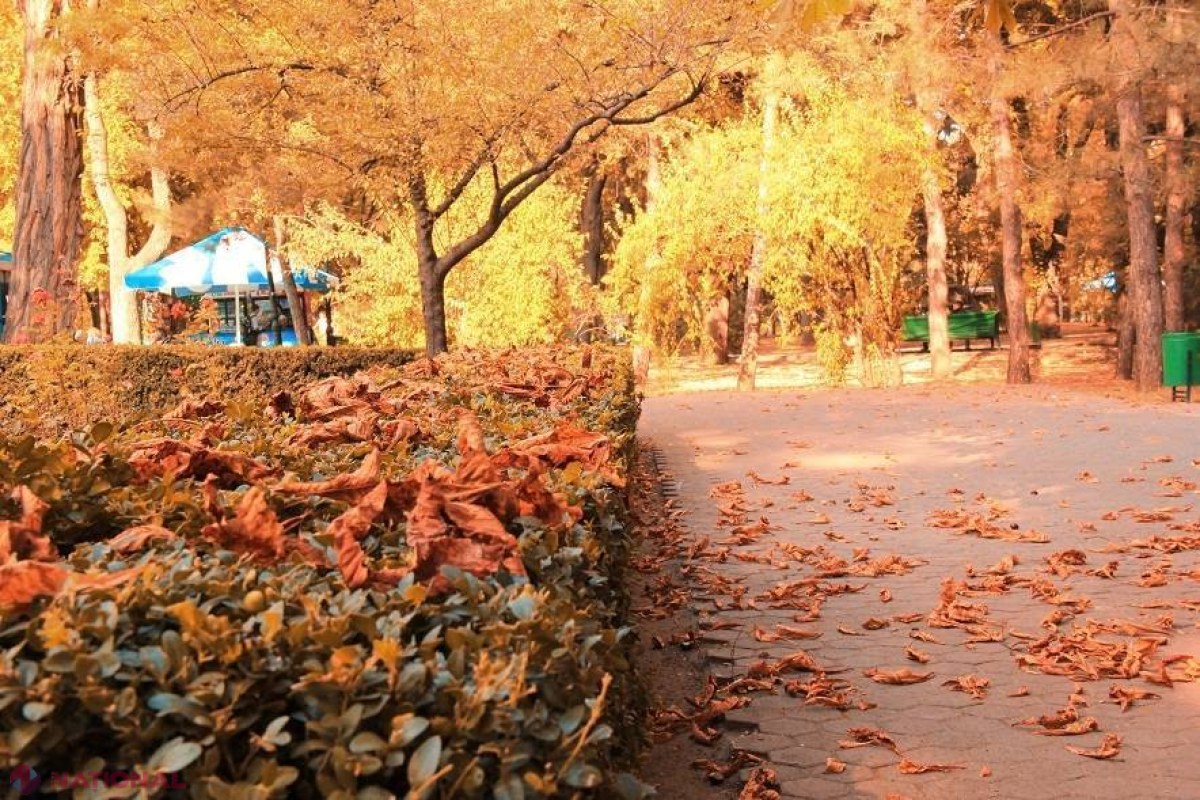 METEO // Ploi și temperaturi de plus zece grade Celsius ziua