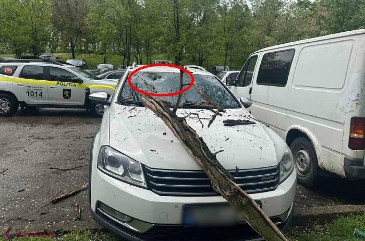 GALERIE FOTO // Mașini avariate serios de crengi și copaci rupți de vânt, în Chișinău