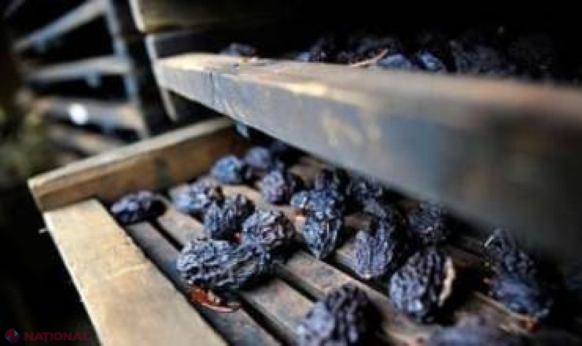 Rușii RETURNEAZĂ 21 tone de prune uscate moldovenești