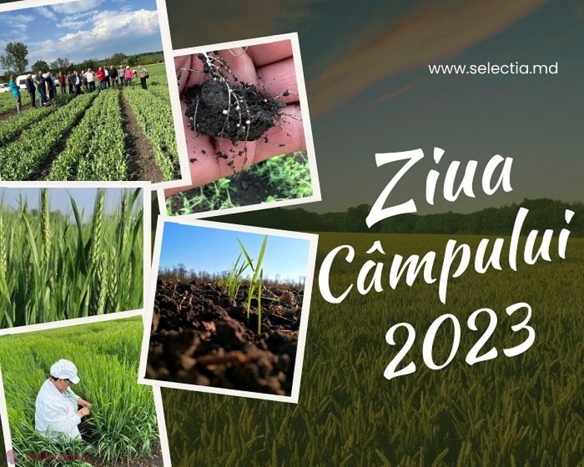 Cele mai recente cercetări și inovații din domeniul agriculturii, prezentate direct în câmp fermierilor de către savanții de la „Selecția”