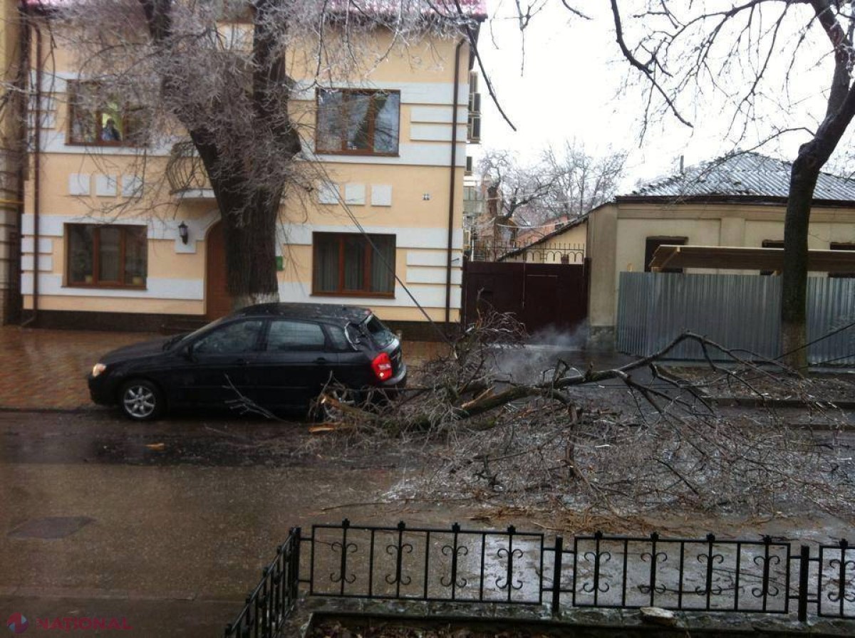 FOTO // CHICIURA doboară copacii în capitală. Zeci de mașini AVARIATE și trecători SPERIAȚI