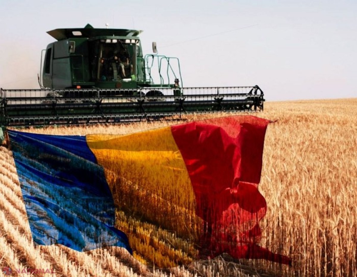 România, al șaptelea producător agricol din Uniunea Europeană, în 2023