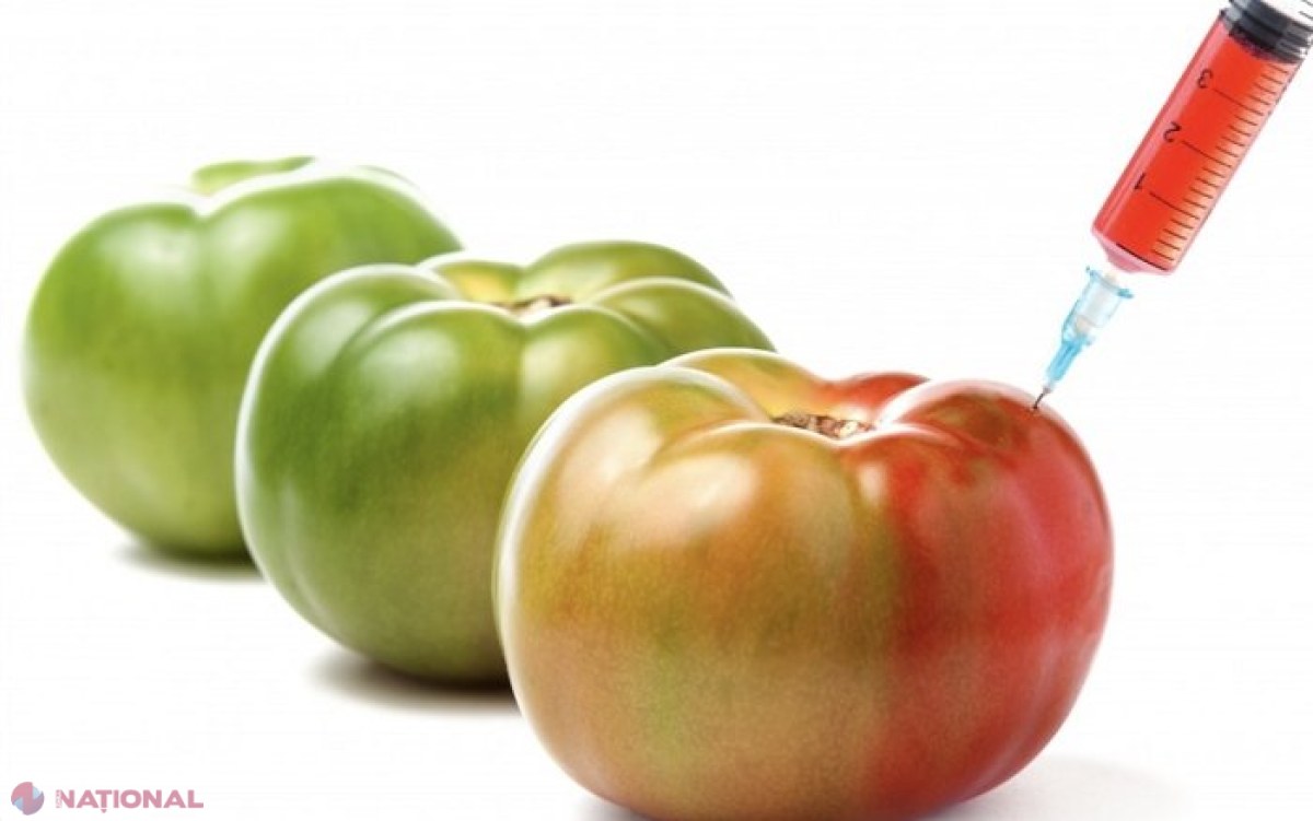 NOU // Organismele Modificate Genetic (OMG) pentru uz alimentar, produse alimentare sau hrana pentru animale nu vor putea fi introduse pe piață, dacă nu sunt înregistrate în Registrul de Stat