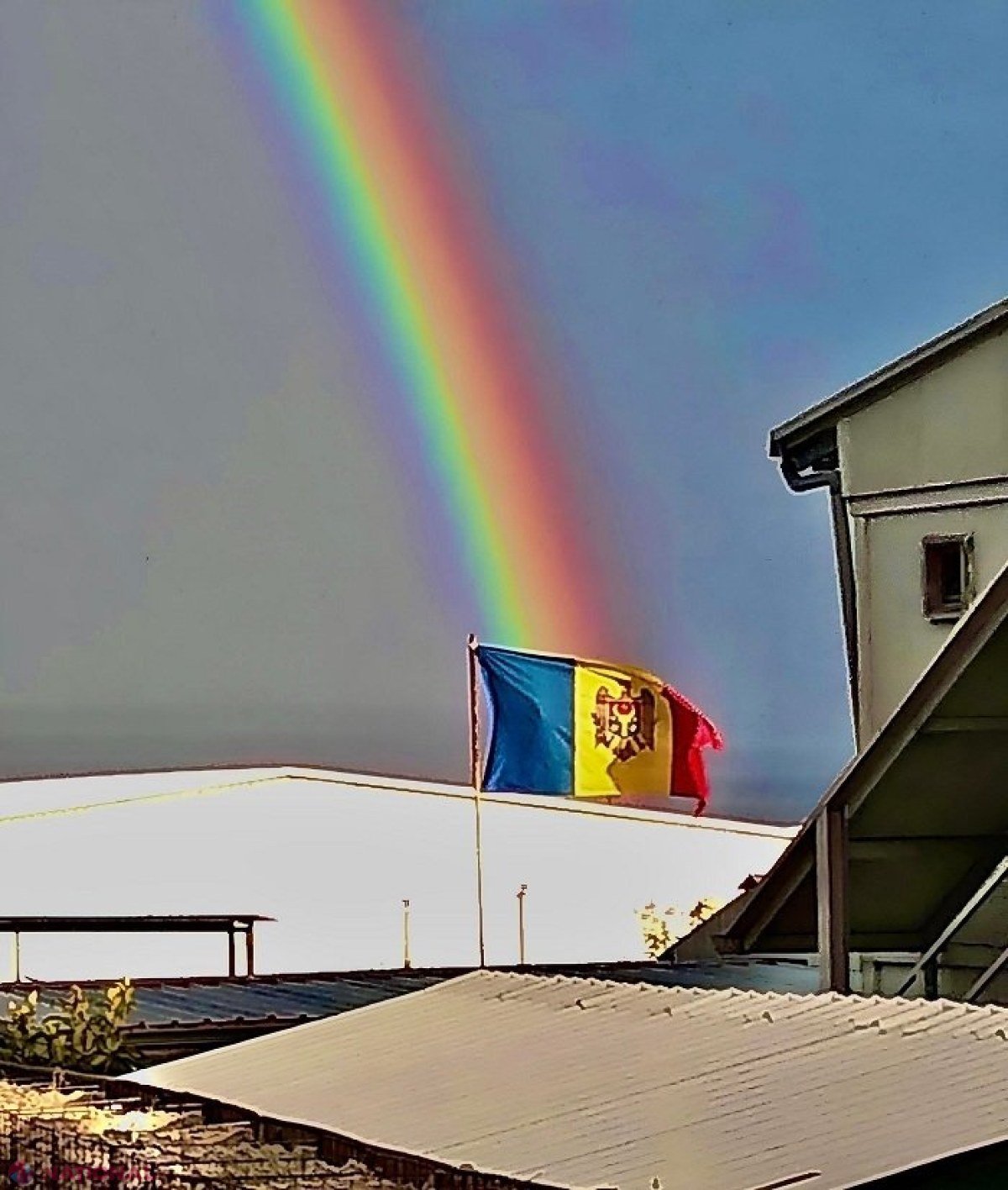FOTOGRAFIA ZILEI surprinsă în Liban, de Ziua Drapelului de Stat al R. Moldova