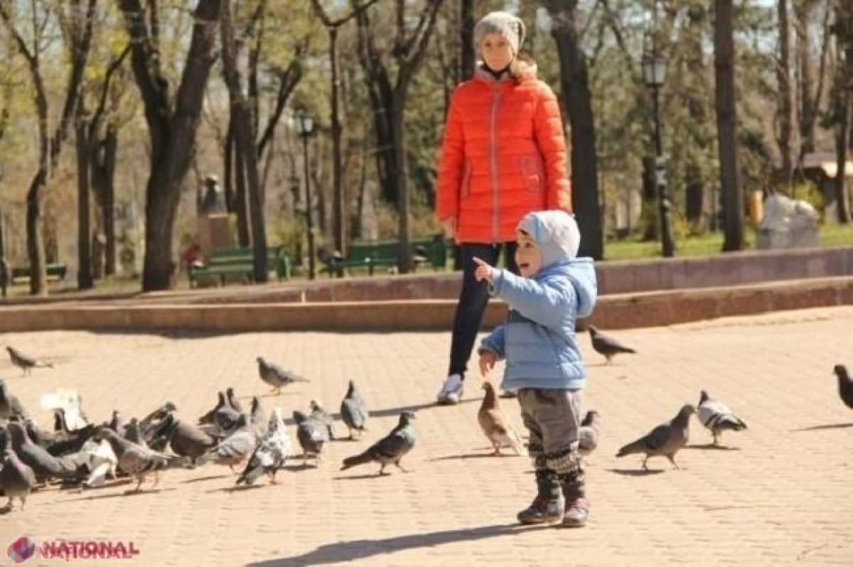 METEO // Maxime de până la plus 18 grade Celsius la începutul lunii martie