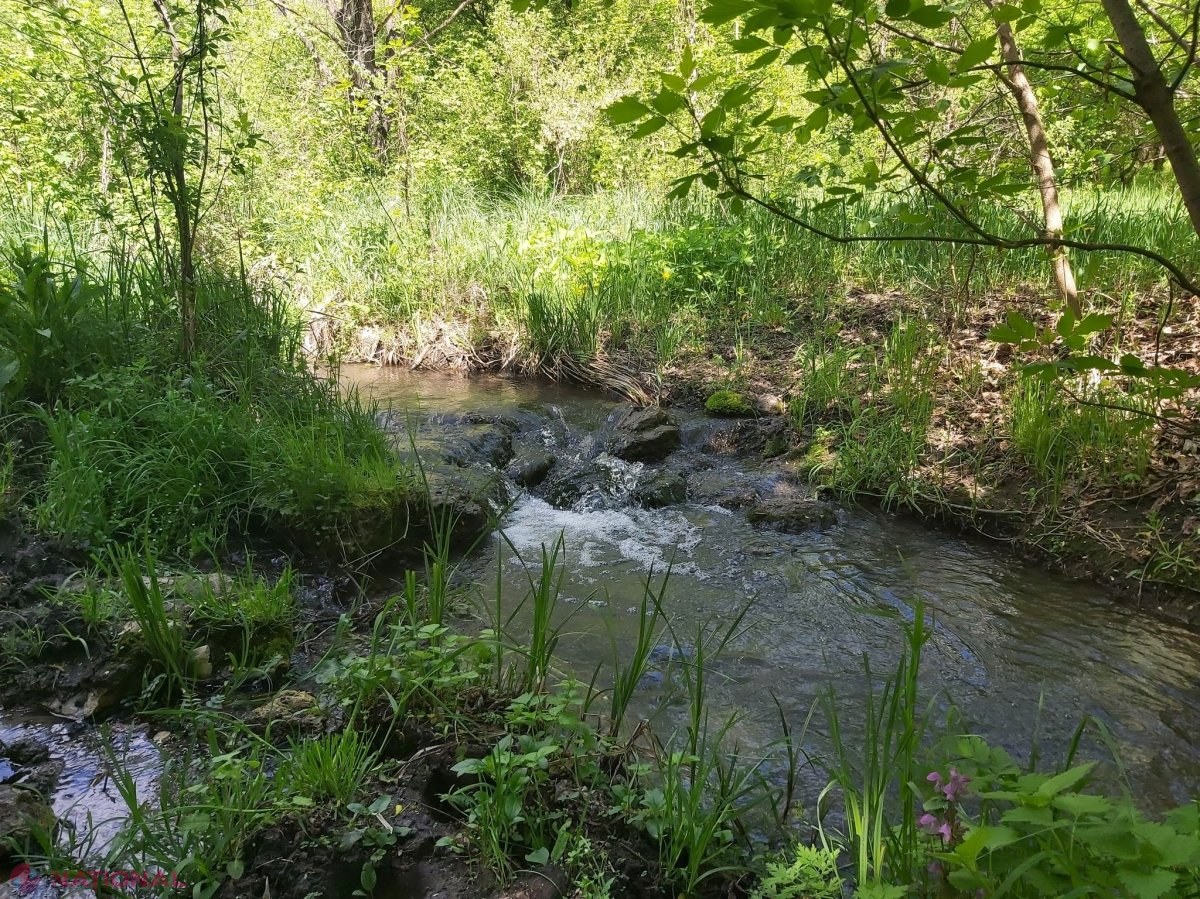 METEO // De la plus 17 până la plus 30 de grade Celsius: Cum va fi vremea până la sfârșitul săptămânii