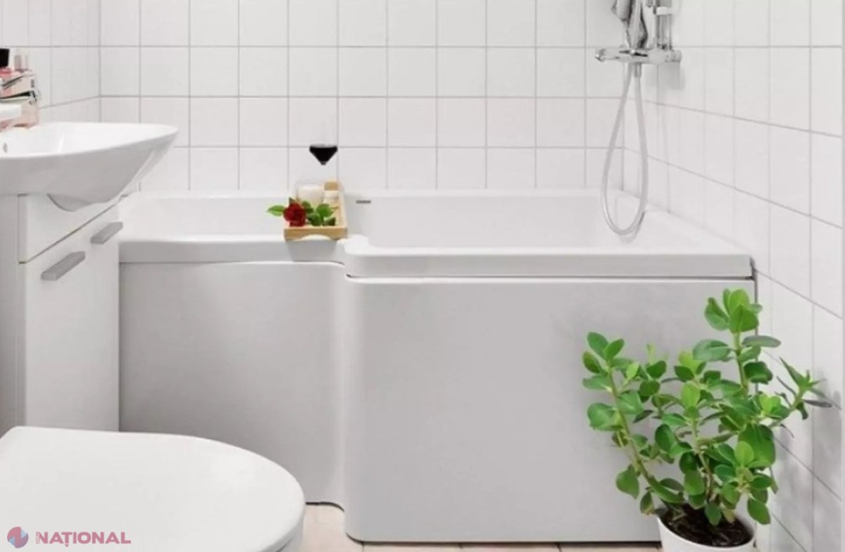 Planta pe care trebuie să o păstrezi în baie. Absoarbe umiditatea în exces din încăpere. Este ideală pentru astmatici 