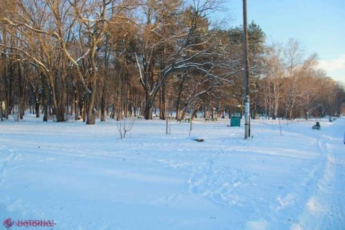 Terenul din Parcul „Valea Trandafirilor”, REÎNTORS în gestiunea Primăriei Chişinău