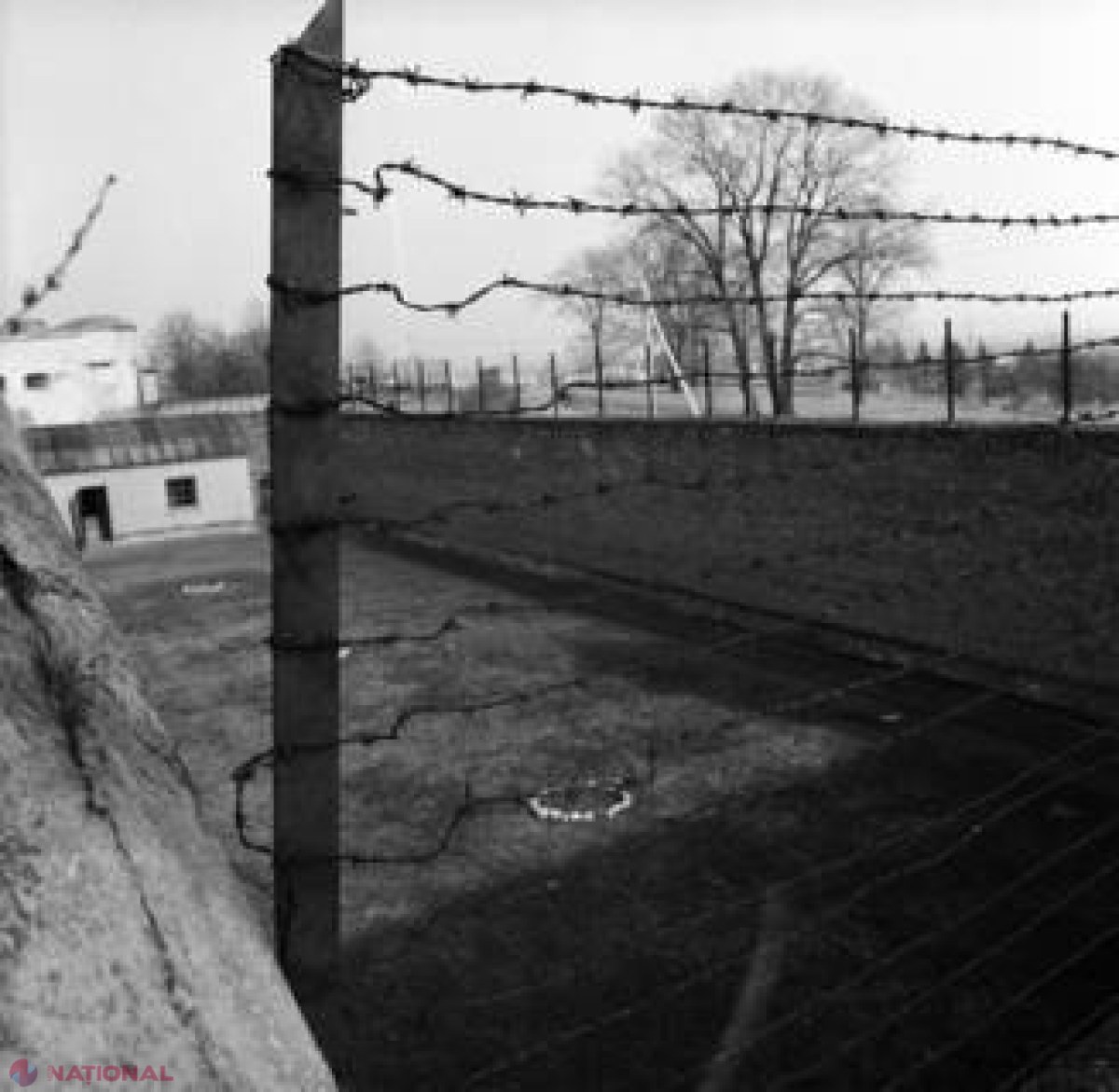 Arhivele Holocaustului de la ONU se redeschid după 70 de ani: Capitole întregi din istorie s-ar putea rescrie 