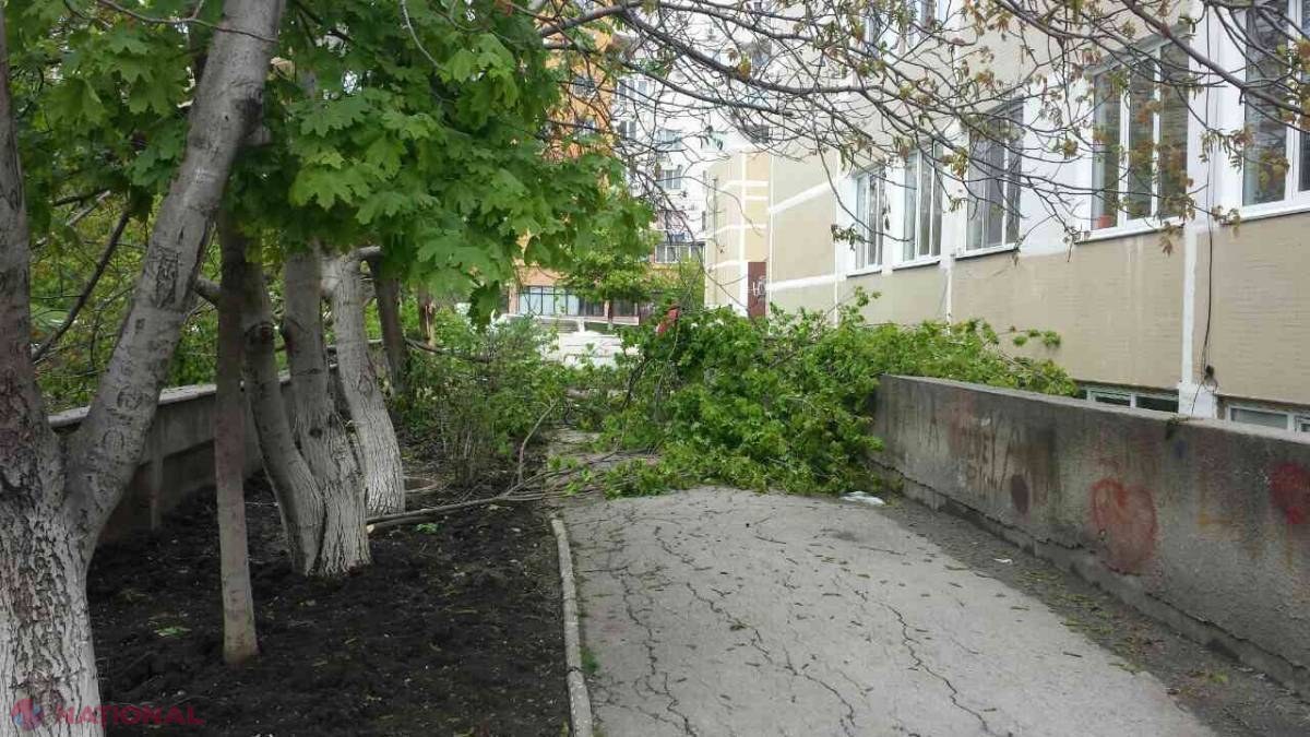 Vacanța elevilor s-a încheiat! Cum arată școlile din Chișinău după ninsoarea de săptămâna trecută