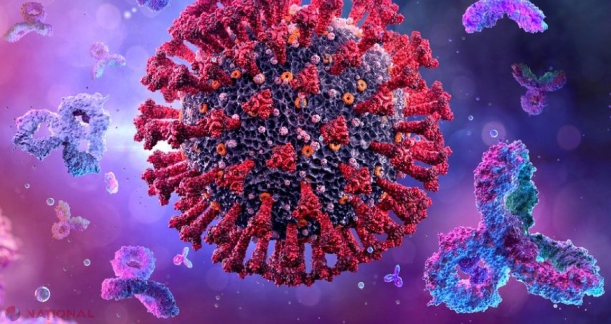 Expert: „Oamenii s-ar putea reinfecta cu coronavirus la fiecare 2 sau 4 ani. Se dezvoltă noi variante”