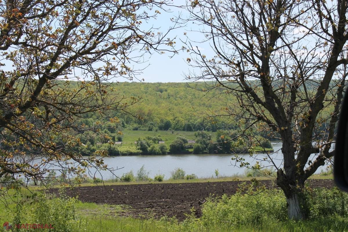 AVERTISMENT // R. Moldova riscă să PIARDĂ sute de hectare de pădure