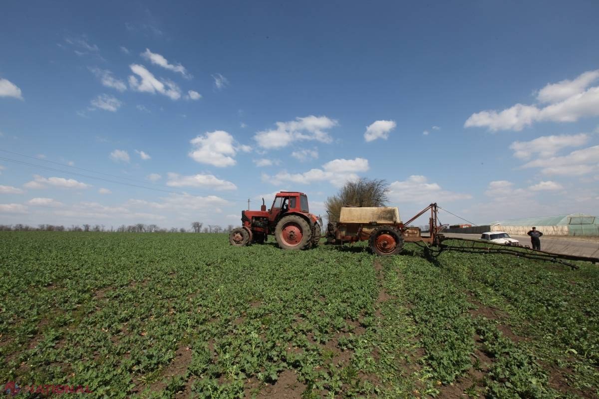 UTIL // Calendarul AGRICOL pentru luna august